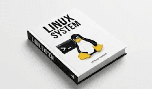 Linux System